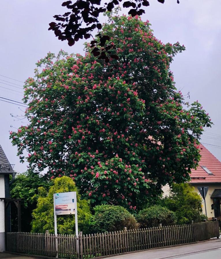 Gemuetliche Fewo Naehe Hachenburg, Bad Marienberg Langenbach bei Kirburg Extérieur photo